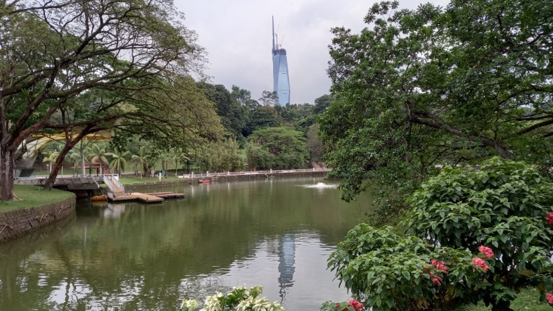 Greening the city to prevent mental illness – Kristine Engemann