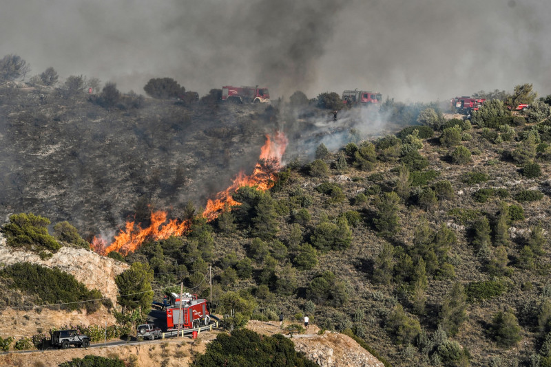 Athens suburb evacuated under wildfire threat