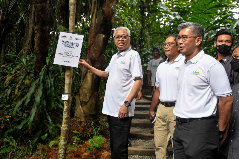 Ismail Sabri wants stricter laws to address environmental violations