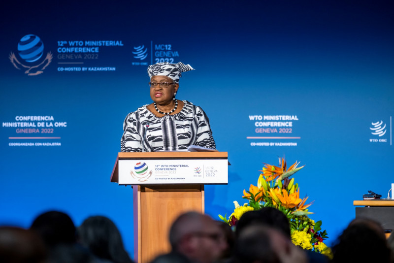 Cautious optimism at WTO meet on food security, overfishing, vaccine access