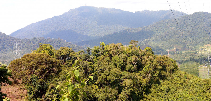 Kedah denies giving new quarrying licences, approvals in Gunung Raya forest reserve