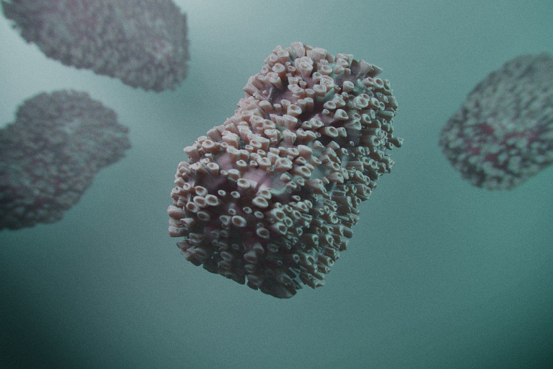 Debunking misconceptions about mpox