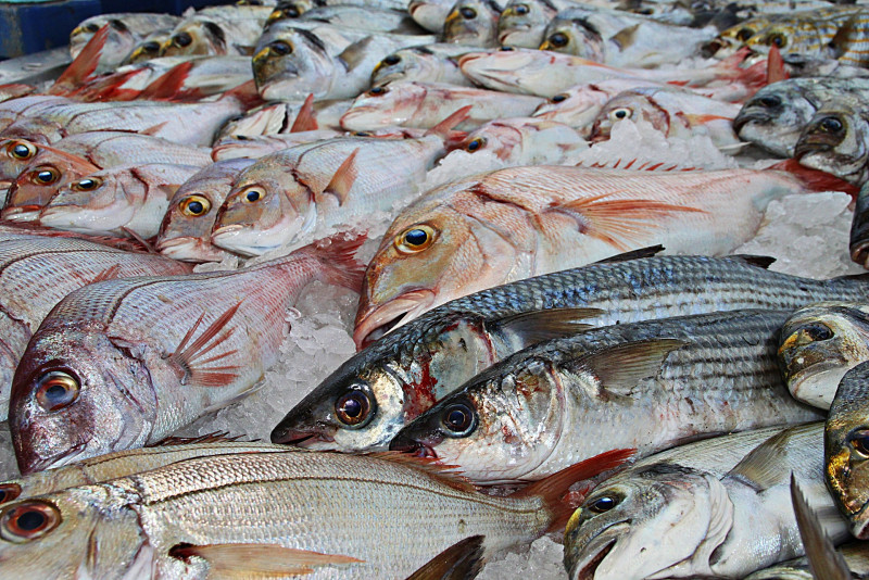 Localised fish price hikes amid monsoon pressures - KPDN