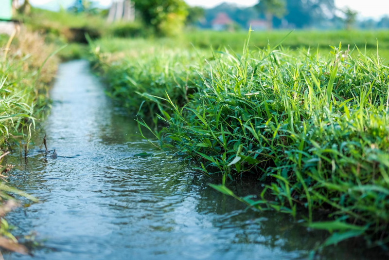 11-year-old boy drowns after falling into irrigation ditch while fishing
