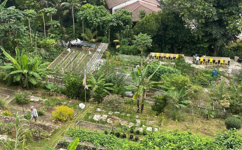 Kebun-Kebun Bangsar plants, landscape won’t be destroyed: authorities