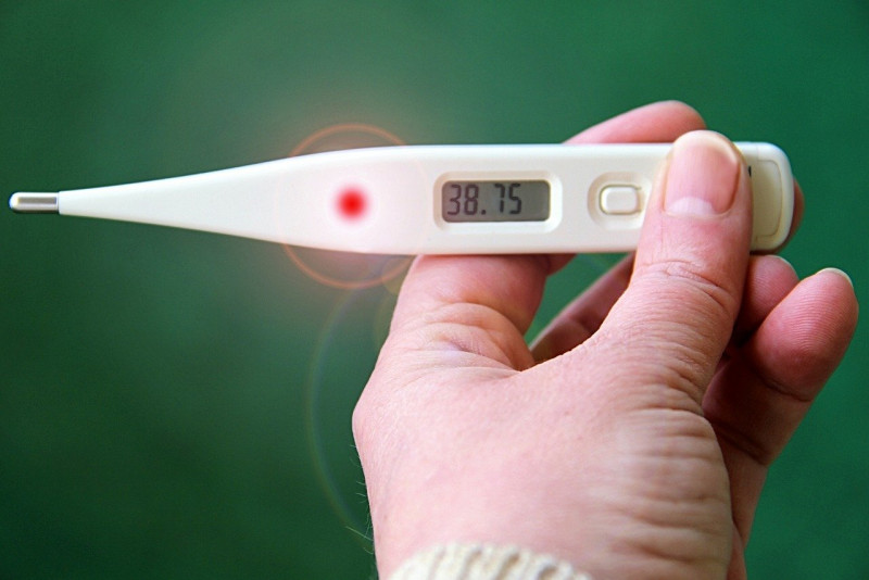 SK Meru special ed student dies from influenza A