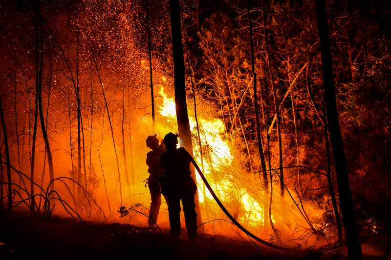 900 firefighters battle ‘mega-fire’ in southern France
