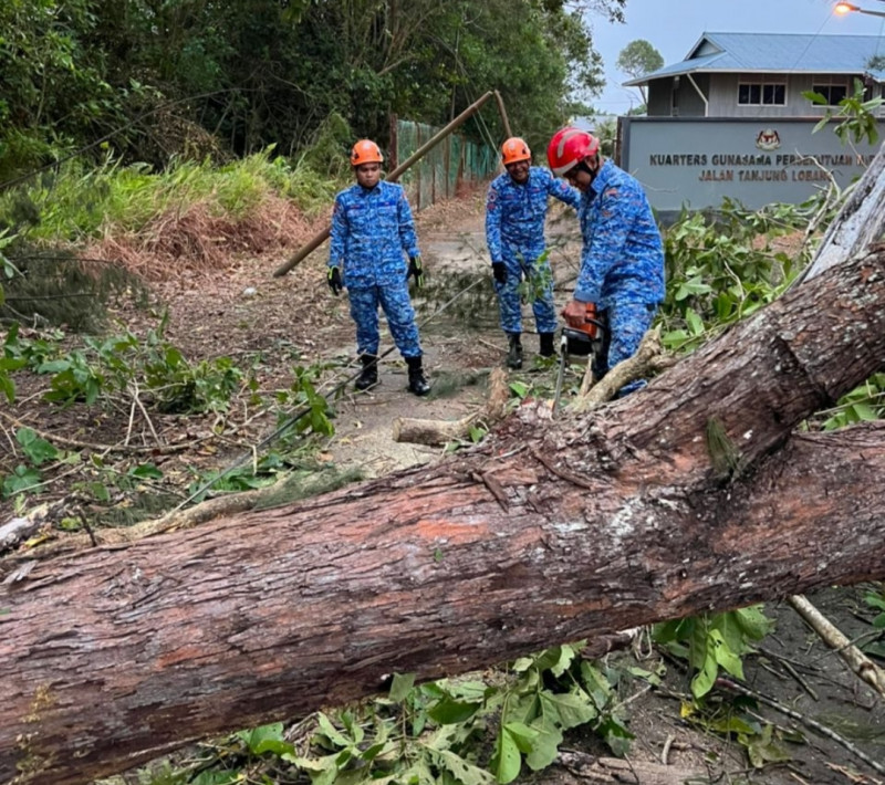 Fierce winds lash northern S’wak, uprooting trees, damaging homes