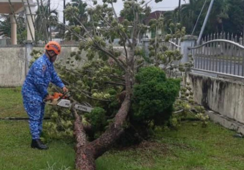 Fierce winds continue lashing northern Sarawak, causing blackouts