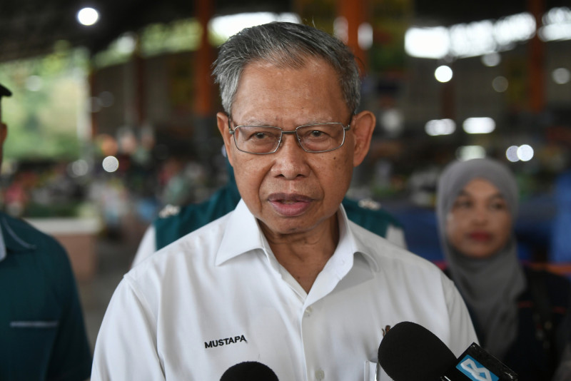 Expedite setup of MyMudah units in govt to reduce red tape: Tok Pa