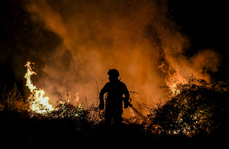 13 dead as Chile forest fires provoke state of disaster