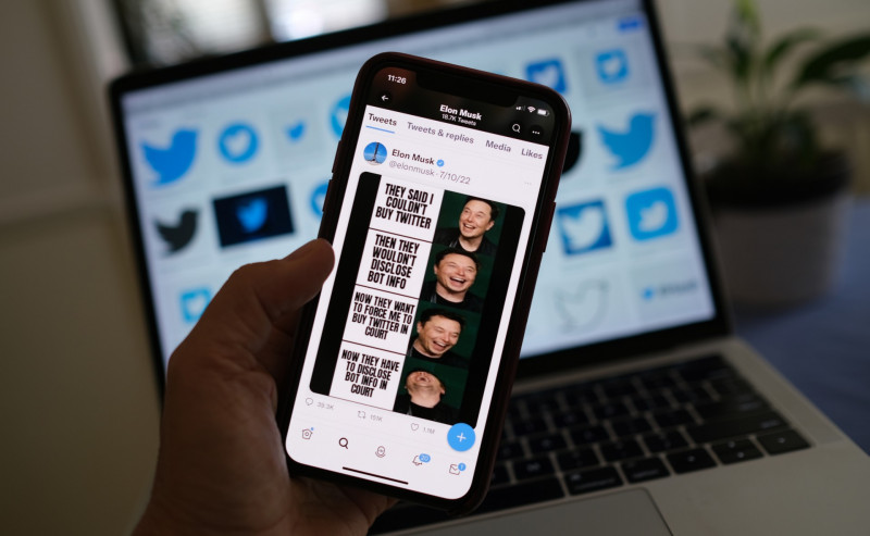 Musk and Twitter: volatile liaison ends up in court