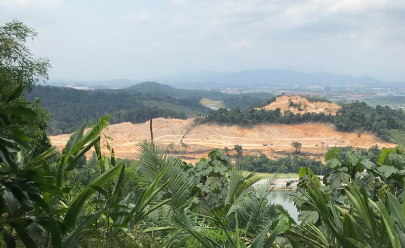 Protests mount over PKNS’ development plans for Bukit Cherakah forest reserve