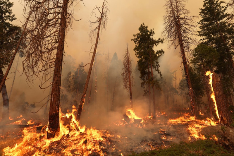 Thousands evacuated as California wildfire grows