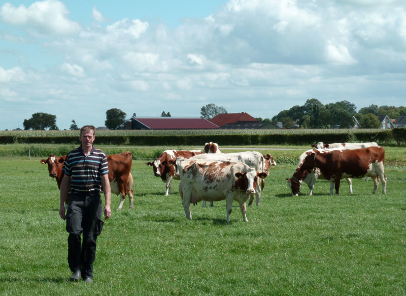 Dutch farmer protests reap populist support