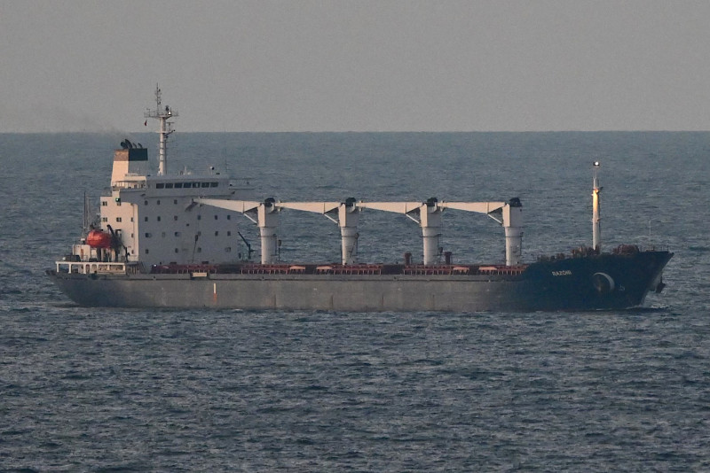 First Ukrainian grain shipment since invasion set for inspection in Turkey