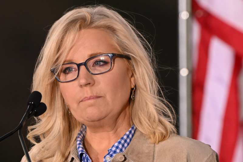 Top Republican Trump critic Liz Cheney loses seat in US Congress