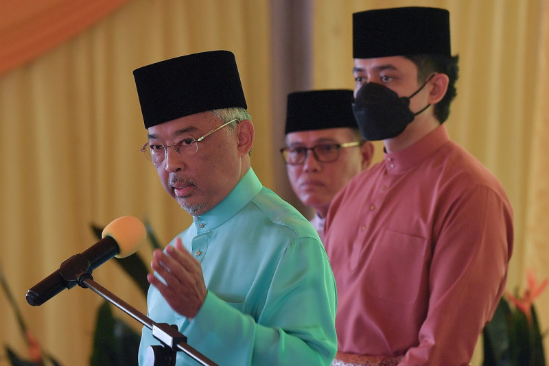 Pahang Sultan: Royal pardon is a constitutional safeguard, not a political favour