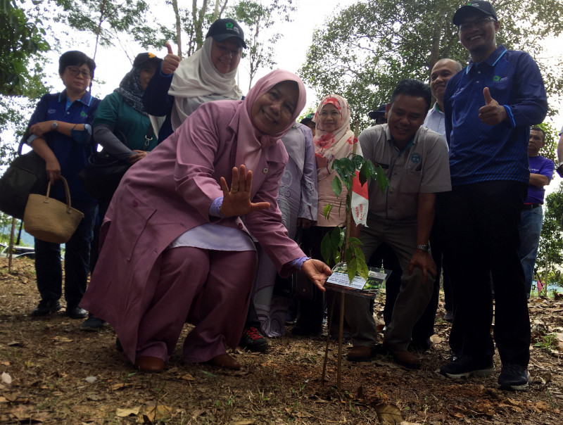 Govt to expand timber tech exchange with developing countries: minister