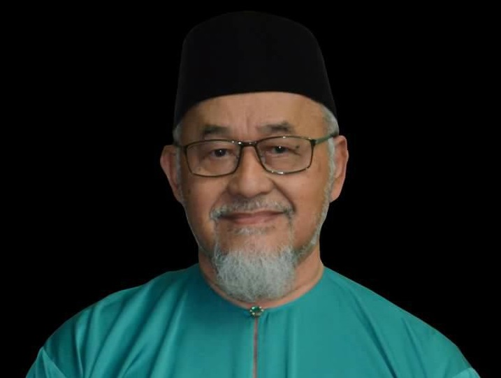 Work with ‘non-extremist non-Muslims’ to stop PH win, says PAS man