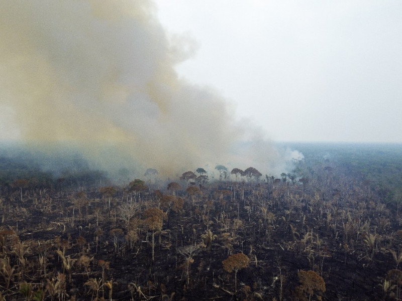 Brazil territory burned nearly doubles compared to Nov last year