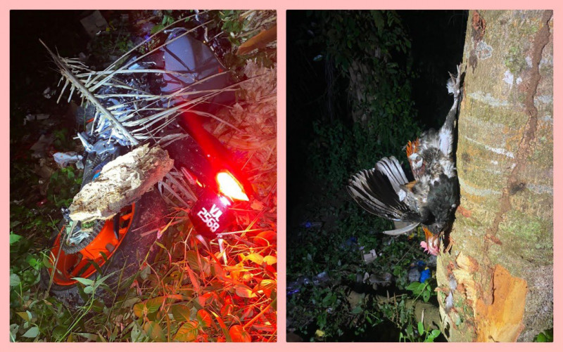 Man, son killed after motorbike hits jungle fowl