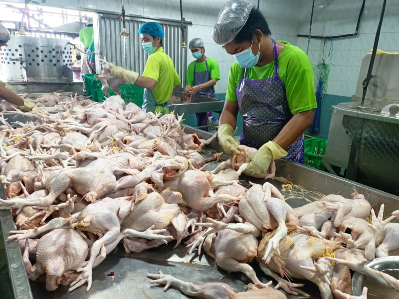 60% of Sandakan’s food factories found without compulsory food safety cert: authorities