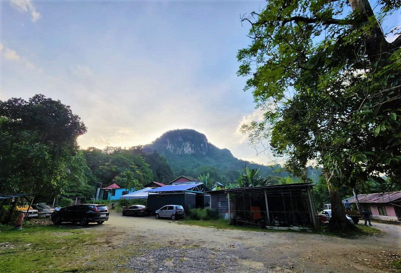 Good move to gazette land near Klang Gates Dam as green space: NGOs