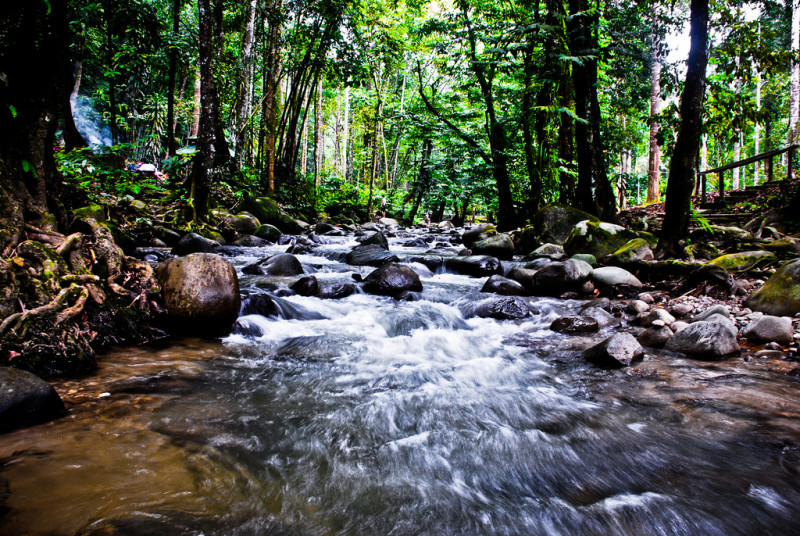 Man charged for kidnapping, killing after girlfriend’s body found in Hulu Langat ravine