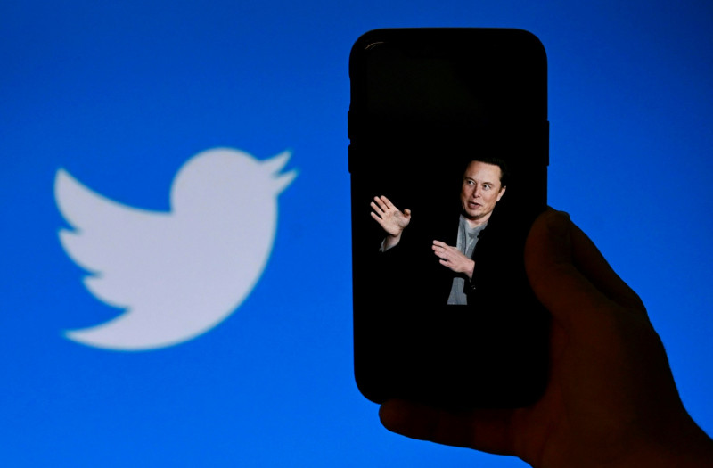 You must like pain a lot: Musk on MIT scientist's 'Let me run Twitter' tweet