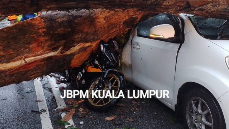 Falling tree in Taman Maluri crashes onto cars, injures six people