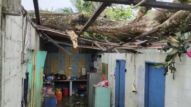 Storm in Kulai topples trees, damages houses, shops