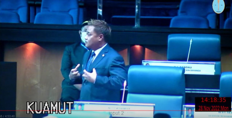 Kuamut rep calls for Sabah law to compensate elephant attack victims