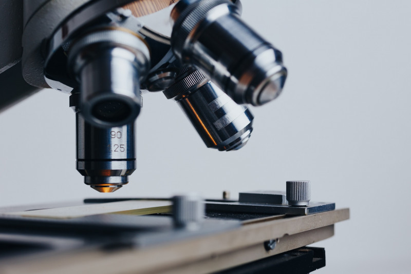 Who should the science minister be? – Mahaletchumy Arujanan