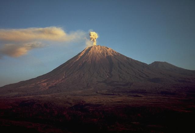 Indonesia’s Semeru volcano erupts, almost 2,000 locals evacuated