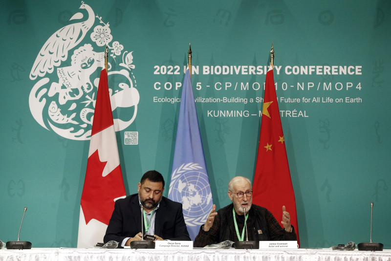Developing nations demand more money at crunch UN biodiversity talks