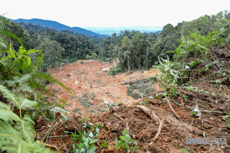 Over 20 teachers, their families among victims of landslide