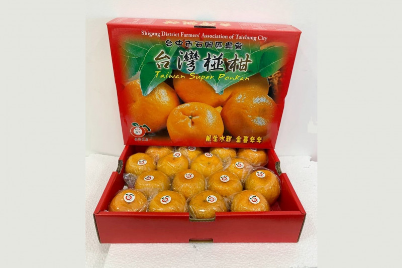 Taichung City launches special ponkan label to stop sales of counterfeit fruit