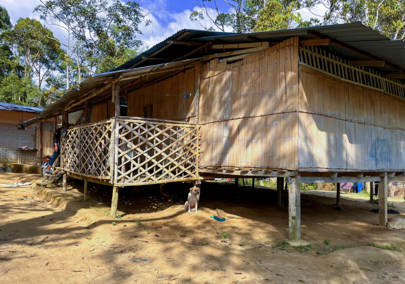 Elephant trespasses three Orang Asli settlements in Gua Musang