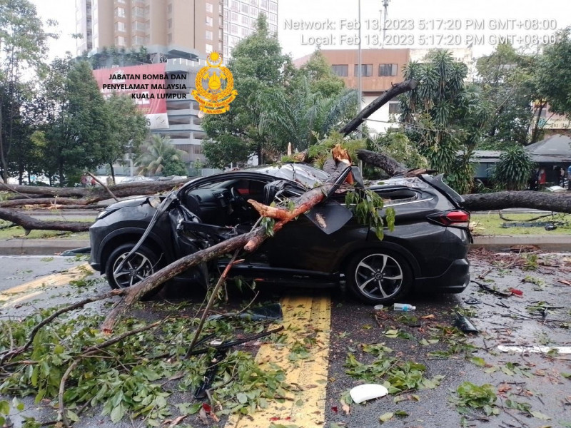 Heavy rain fells trees in KL, injuring two, damaging three cars