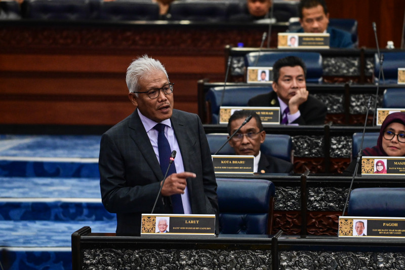 Remember Arab Spring? Hamzah cautions govt not to ignore rakyat