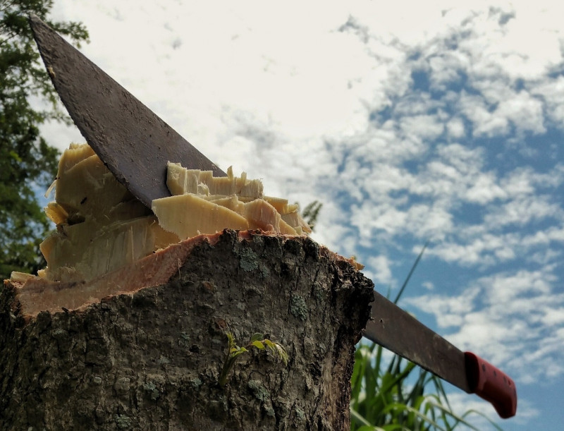 Four parang-armed robbers invade three homes in one morning