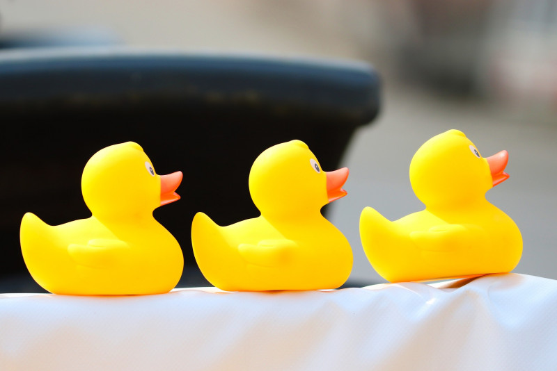 Thai man jailed for insulting royalty through rubber duck calendar