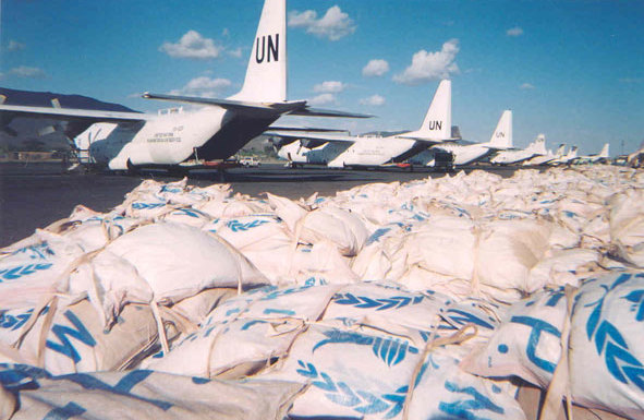 UN World Food Programme to halt work in Sudan after workers killed