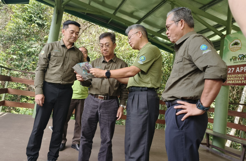 ‘Forest plantation development does not mean deforestation’