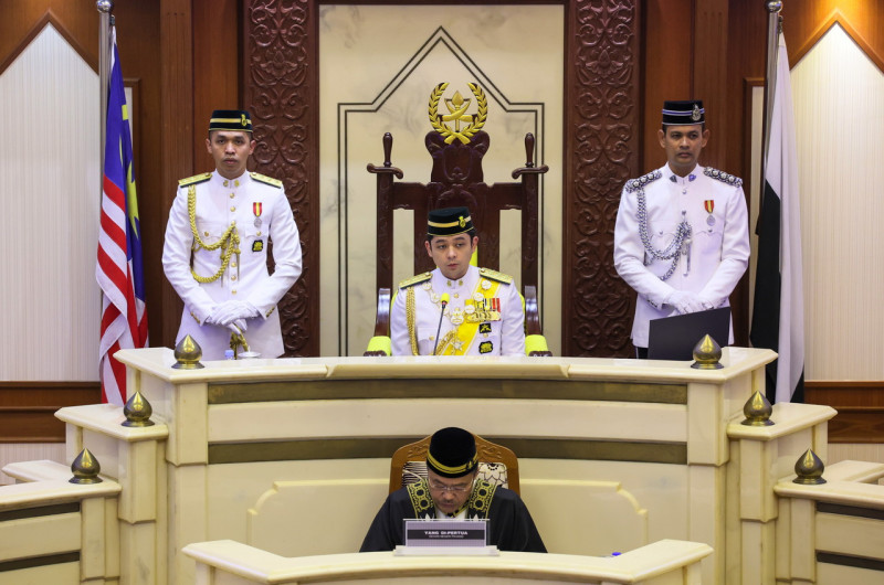Pahang must ensure investments do not pollute state: regent