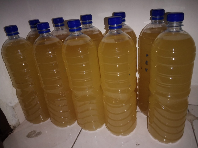 ‘Sarawak may draft policy for commercial tuak production’