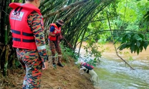 Tracker dogs hunt for boy feared drowned in Perak’s Lubuk Hantu