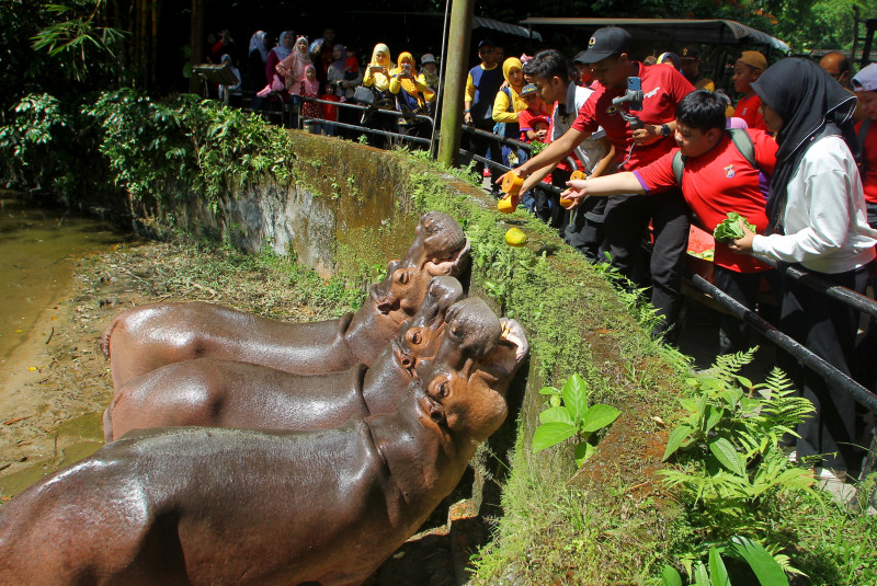 Taiping Zoo takes steps to prevent heat stroke in animals