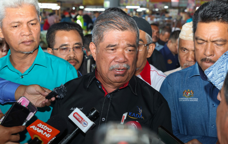Asean brethren ready to help Malaysia tackle rice issue: Mat Sabu